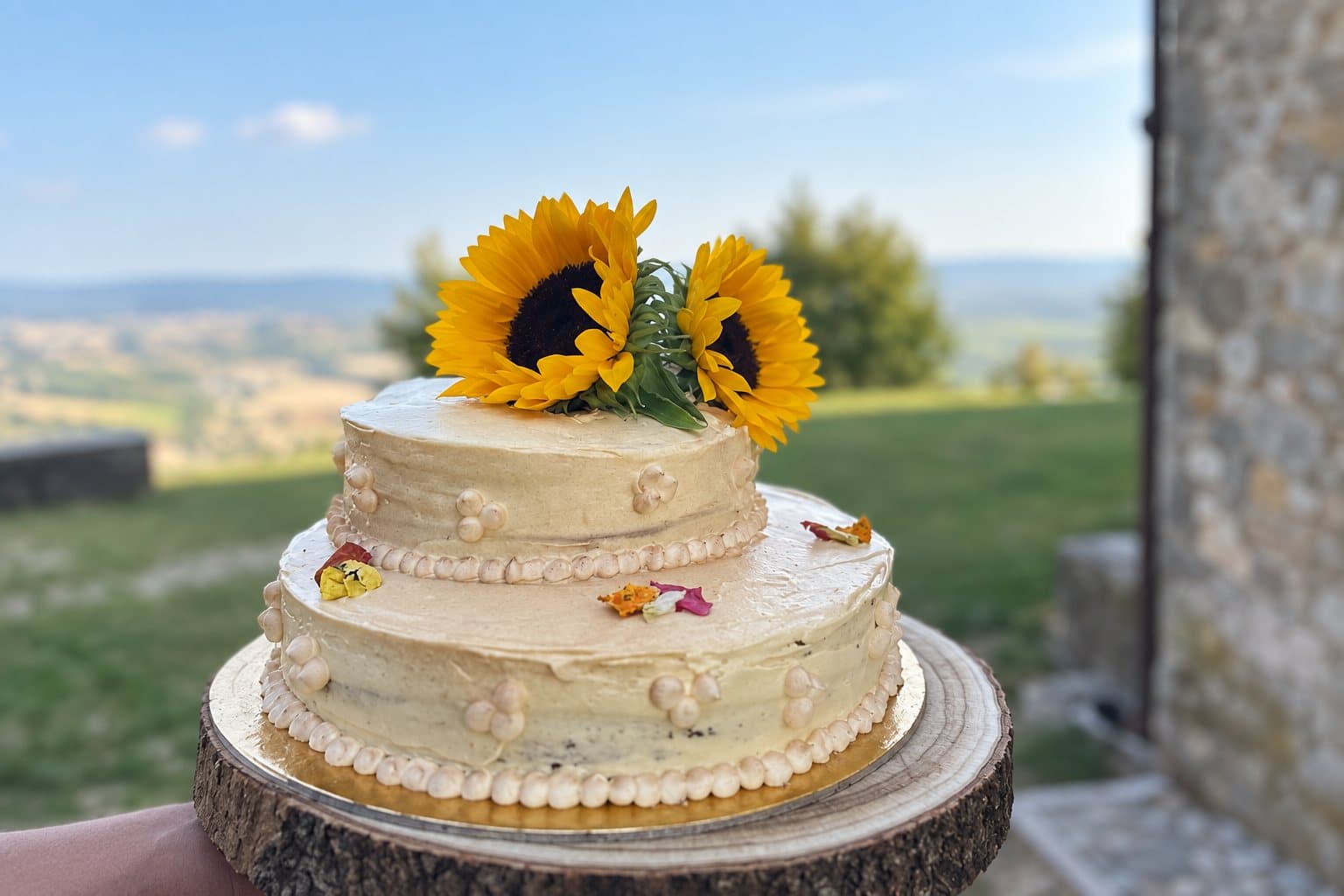 Artis gluten free, Ponte Della Priula — foto 3